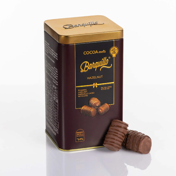 Cocoa melts hazelnut chocolate